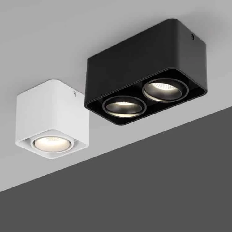Çiftli yönlendirilebilir downlight